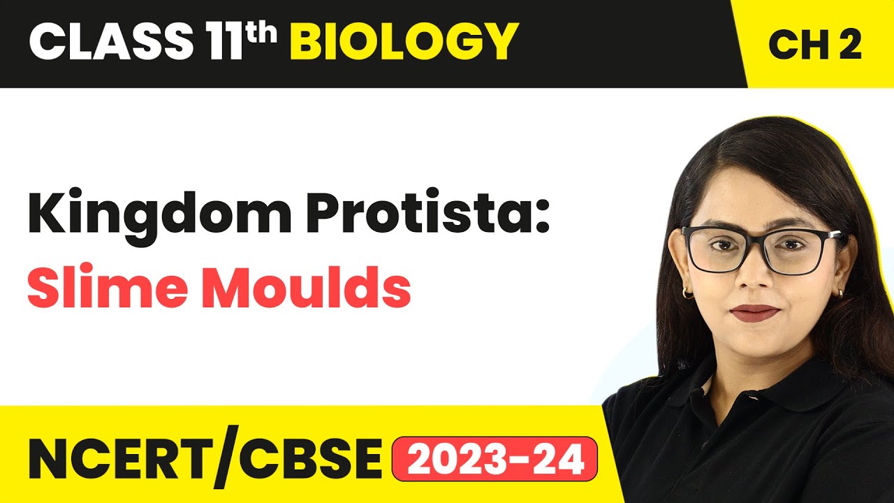 Kingdom Protista: Slime Moulds - Biological Classification | Class 11 Biology Chapter 2 | NCERT/CBSE