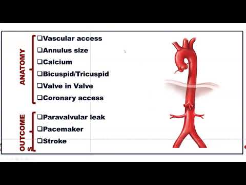 TAVI lecture 6 webinar by Dr Reda Abu Elatta