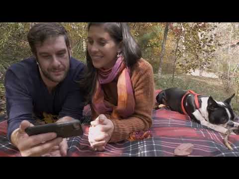 Play Video Youtube Video