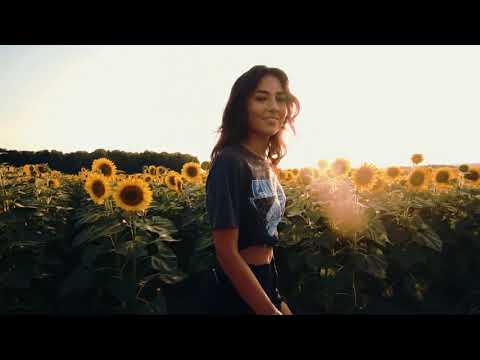 Divoká růže - Petr Němec - Flamingo - (Music video Bob Martinec)