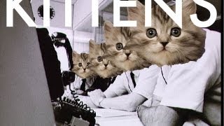 Kittens In Space (Song A Day #1156)