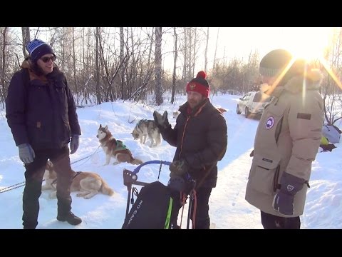 Novosibirsk in winter - Video gallery