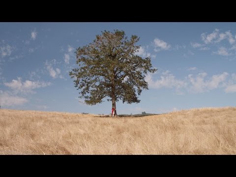 "The Giving Tree" A short film