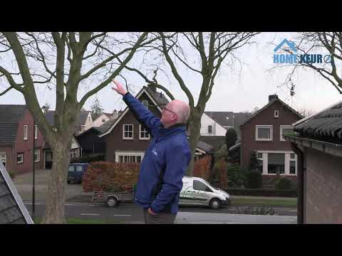 Dakvlak met keramische pannen en diverse ramen met gebreken