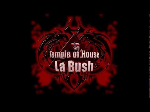 la bush temple of house - Demoniak   Orpheuz - The Pope of Dope (Remix).