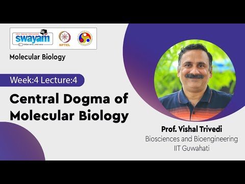 Molecular Biology Introduction Video