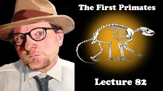 Lecture 82 The First Primates