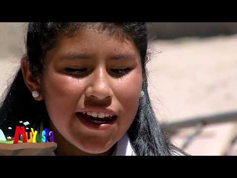 TELAMAYU - POTOSI - MUYUSPA BLOQ 2 T3