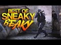 CS:GO - Best of Sneaky Beaky! (Pro Moments ...