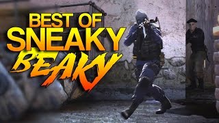 CS:GO - Best of Sneaky Beaky! (Pro Moments)