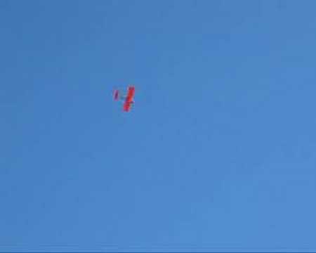 Wiggy in Switzerland