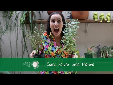 , title : 'Como Salvar uma Planta'