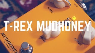 Video thumbnail for The T-Rex Bites! The Handbuilt T-Rex Mudhoney From The Danish Collection by Peter Honoré