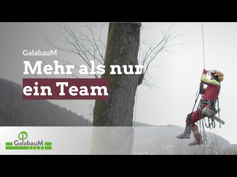 Die Baumflüsterer - GalabauM YouTube-Vdeominiatur 4