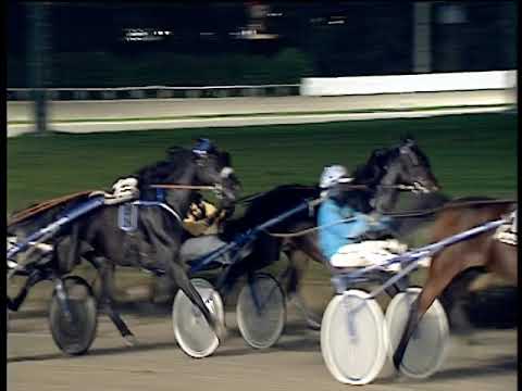 Trotto 08/11/2019 - 7ª corsa