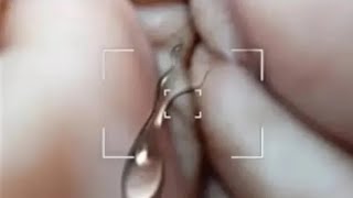 Download lagu heeriye jasleen royal ft arijitsingh dulquer salmaan aditya sharma taanitanvir mp3 Download lagu heeriye jasleen royal ft arijitsingh dulquer salmaan aditya sharma taanitanvir mp3