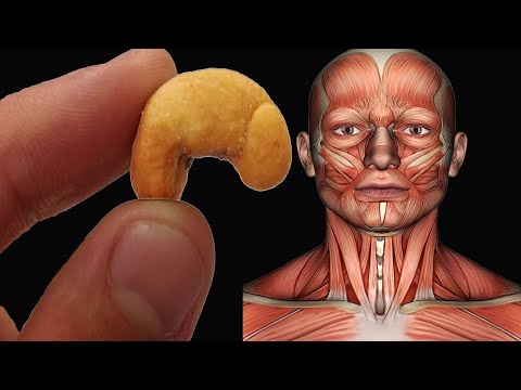 What Happens When You Start Eating 4 Cashews Every Day