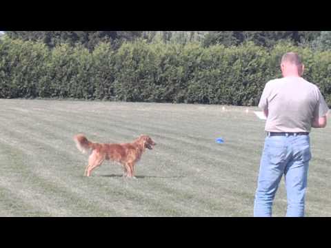 8 Chester Distanz.AVI