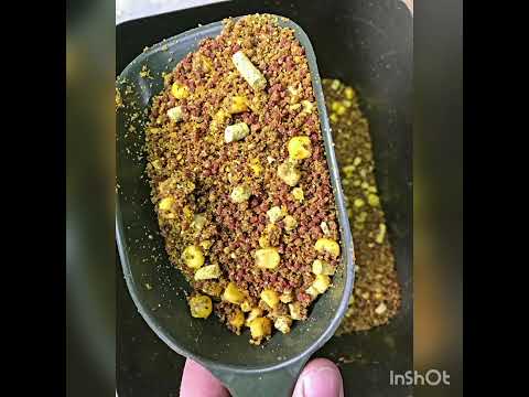 Sezon 2021. Carp Fishing SBS Team.