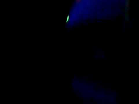 Discoteca Hollywood Mastiksoul parte 2