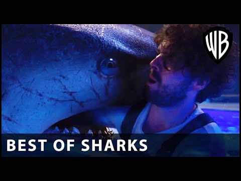 ICONIC Shark Attacks: Deep Blue Sea 3 | Warner Bros. UK
