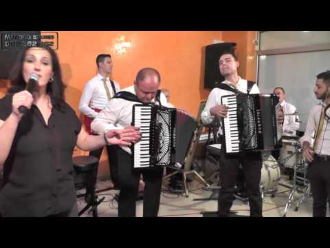 Trapa, Aca i Zlatnici (Milkica) -  (Zeljoteka 2016) LIVE