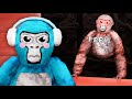 I Found PBBV... | Gorilla Tag VR