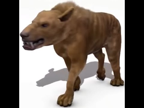 Prehistoric Assassins [2010] - Hyaenodon Screen Time