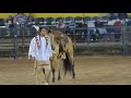 Mo Brings Plenty and Jay Begaye at the 2018 Navajo Nation Fair Part 2