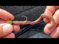 How To Properly Hook A Worm Nightcrawler Rigging Perfection