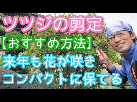 春に剪定する植物はどれですか？ 3月・4月に伐採する樹種は5群  庭園