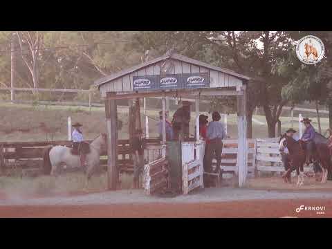 Credenciadora mista - NCCCNG - MANGUEIRA 1, CAMPO 1 E CAMPEONATO DE PALETEADAS 18-02-2023