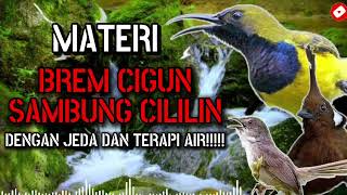 Download lagu MASTERAN SOGON MATERI BREM CIGUN SAMBUNG CILILIN DENGAN JEDA DAN TERAPI AIR #sogon #sogongacor mp3 Download lagu MASTERAN SOGON MATERI BREM CIGUN SAMBUNG CILILIN DENGAN JEDA DAN TERAPI AIR #sogon #sogongacor mp3