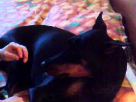 L'igiene è importante!!