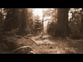 David Nevue – From Dream To Dream