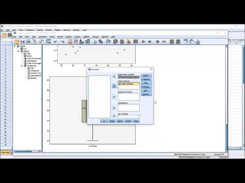 Punktbiseriale Korrelation mit Annahmentests in SPSS