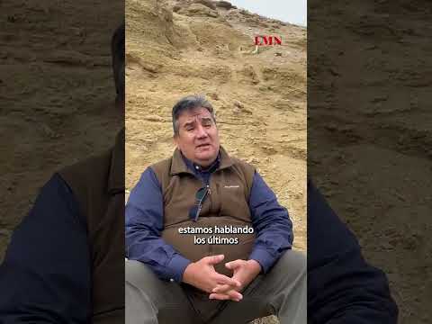 Encuentran uno de los gliptodontes más completos de la provincia