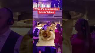 When the Silent Disco Goes Unexpectedly Wild #cruiseparty #cruisetime #cat