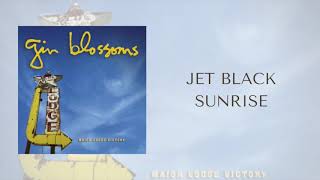 Gin Blossoms - Jet Black Sunrise (Official Audio)