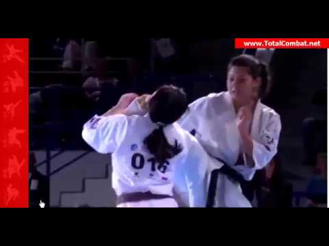 kyokushinkai karate world championships highlights