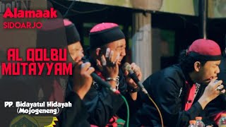 Download lagu 🔴Guest Star : Alamaak (Sidoarjo) | Festival Qurani PP Bidayatul Hidayah Mojogeneng 2020 mp3