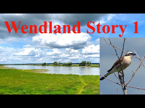 Wendland Story I