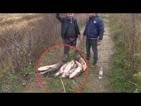 27кг ТОЛСТОЛОБА за один заброс Накидки. АМУР на Кастинговую сеть. Рыбалка