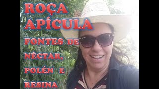 Roça Apícula - Fontes de néctar, pólen e resina