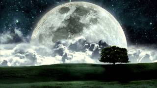 Jon Hassell - Last Night The Moon Came