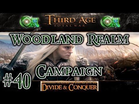 Third Age Total War: Divide and Conquer v1.01 - Woodland Realm Campaign [#40]
