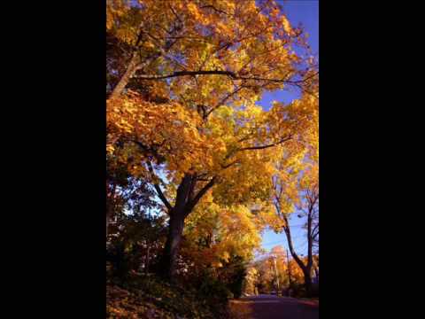 Releveu - Noiembrie Rece (Hip-Hop)