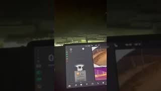 חיישני הרכב טסלה מגלים מחזה מבהיל בבית העלמין בישוב שילה   מצמרר