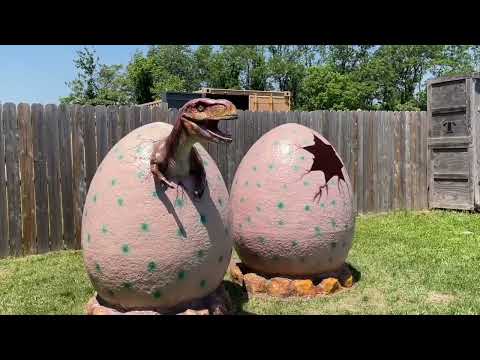 Field Station Dinosaur