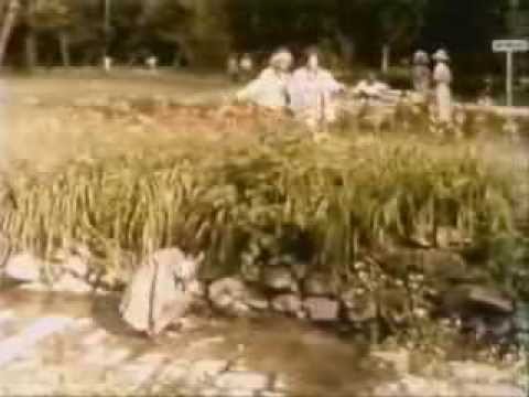 Velika frka- Cedo! Uja!